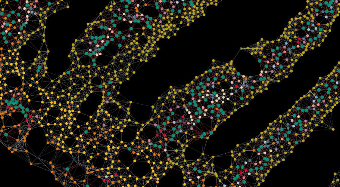 Cells in the small intestine connected to their nearest neighbors.